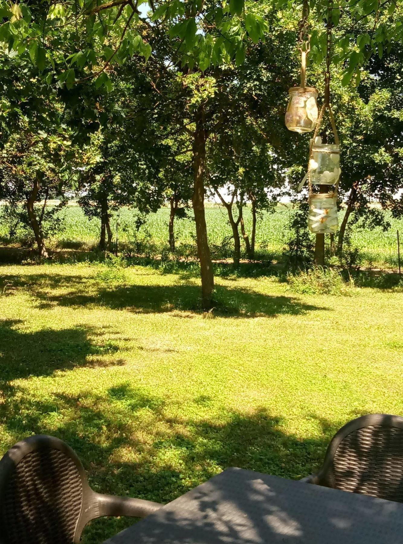 La Barchessa Country House 布德里奥 外观 照片